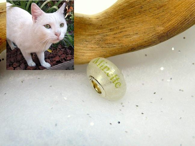 Chat blanc (sous poils brossage) charm 15 mm + nom