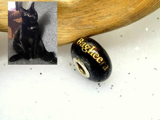Chat noir (sous poils brossage) charm 16 mm + nom
